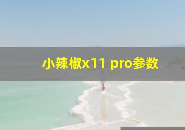 小辣椒x11 pro参数